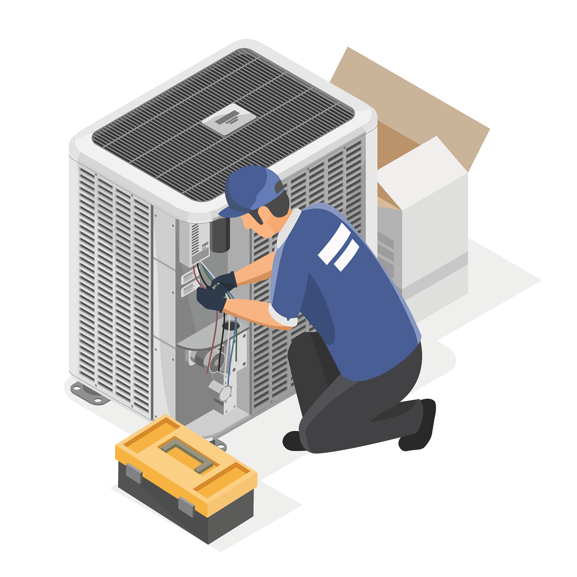 Maintenance vector